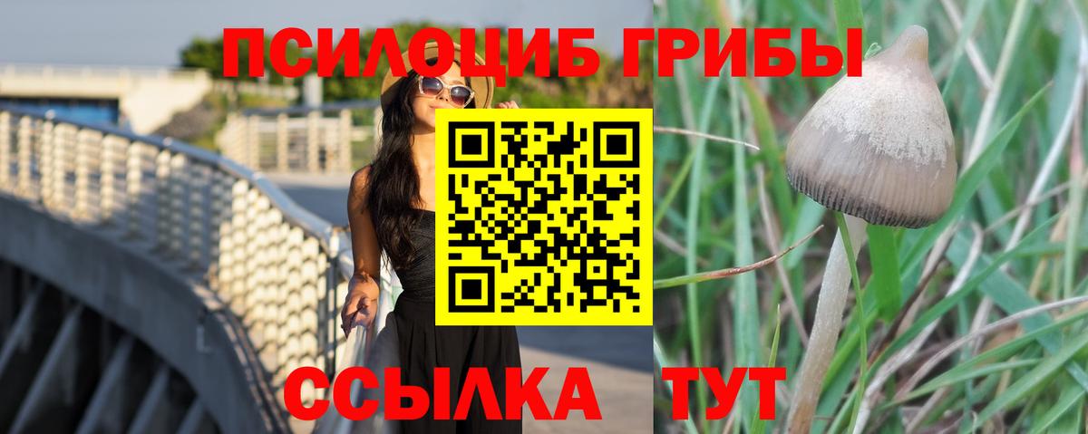 Галлюциногенные грибы ЛСД Майкоп